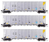 Walthers Set 50' RD-4 Hopper AEPX 3 Wagen