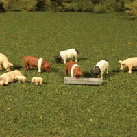 Bachmann 9 Schweine
